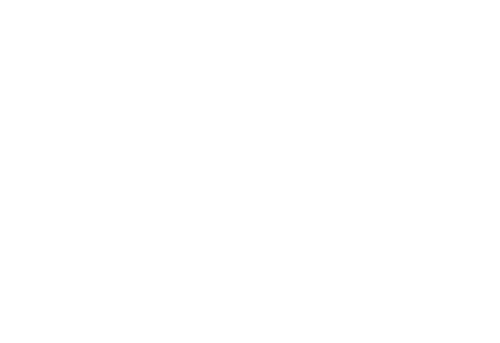 CodeHawke logo